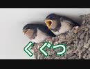 くぐつ / 可不