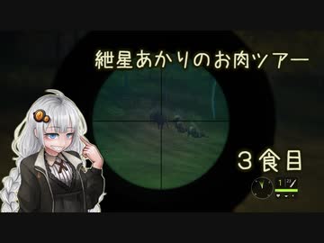 紲星あかりのお肉ツアー＠３食目【theHunter】