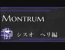 ヘリコプターのカギの出てこなさ　シスオ　ヘリ編【Monstrum】 #6