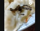 餃子にいそ松葉相性抜群いつ食べる餃子違った今日さ
