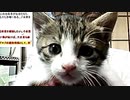 【2020年05月02日：リチャード・コシミズ YouTube講演（ 改良版 ）】