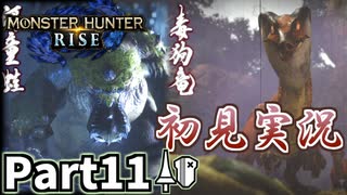 【MHRise】初見で楽しむ！MHRise実況プレイPart11【里★3丸呑み河童蛙／里★3毒霧に濡れた水没林】