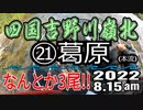 アユの友釣り 四国吉野川(高知県) 本流 ㉑葛原(ブルーベリー農園) 2022.8.15am