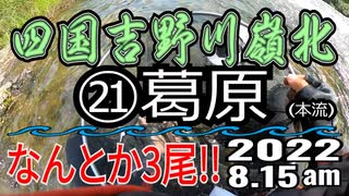 アユの友釣り 四国吉野川(高知県) 本流 ㉑葛原(ブルーベリー農園) 2022.8.15am