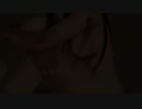 【DoaX3/レイファン+こころ】OP-EDshuffle レイファン+こころ 082008