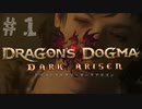 【ドラゴンズドグマ】すべて忘れた覚者が剣と魔法の世界で生きていく。オンラインを少し齧っていて大きな木をひたすら倒していた、という記憶だけあります。【ダークアリズン】