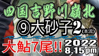 アユの友釣り 四国吉野川(高知県) 本流 ⑨大砂子2 2022.8.15pm