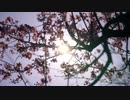 福本琢
