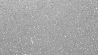 雨の音と道路に落ちる雨の映像
