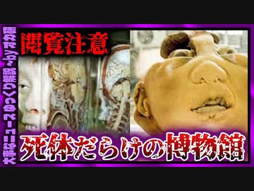【 ゆっくり解説 】死体博物館　様々な遺体や寄生虫を展示　( 怖い話 怪談 オカルト 都市伝説 好きな方向け！)