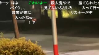 【コメ有】三国峠近くで不審な車を発見→カマを持った男→バンという謎の音→付近探索→懐中電灯を落とす