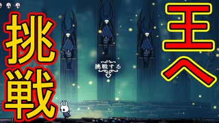 【実況】俺のホロウナイト　その18(胞子の森編)【HOLLOW KNIGHT】