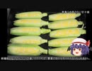 ゆっくり農民192トウモロコシを育ててみませんか？#17