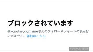 雑談。ワクチン接種の全責任は自分が引き受けると言っていた、ブロック大好きのあのお方が、ワクチン被害者のツイートまでもブロックしている件、他、参政党に対するコメントなどに答えたりしています。