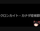【ゆっくり朗読】ゆっくりさんと不思議な病気 その521