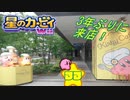 収集してきたカービィグッズをWii攻略ついでに大公開や！！【33】