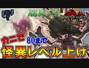 怪異討究レベル８０にするのに使ったスラアク装備。その名も「無限カニ鍋」【MHRISE:SUN BREAK】