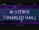 【吸死偽実況】みっぴきの「GNARLED HAG」