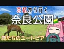 運転初心者でも行ける！奈良公園【京都から行く初心者ドライブスポット #21】