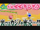 むっつりスケベ2人組が行く #19 【星のカービィ64】