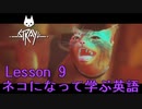 【実況】ネコになって学ぶ英語 Lesson 9【Stray】