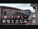 【元旦乗り鉄】新宿さざなみ号の珍しい車両に乗ってきた！