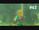 【ゼルダの伝説BotW】実況プレイ-part61-