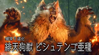 【結月凛 実況】騎士と共に猛る焔　08 【Monster Hunter Rise: Sunbreak】