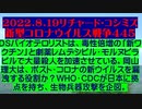 【2022年08月19日：リチャード・コシミズ Internet 講演（ 改良版 ）】