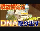 【検証】話題のキットで肉のDNA取り出してみた