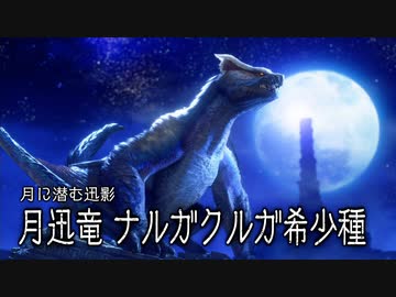 [ゆっくり実況]　もんらさんぶれ　その51
