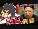 【ゆっくり解説】実は仲がいいアフリカと北朝鮮！その理由は？