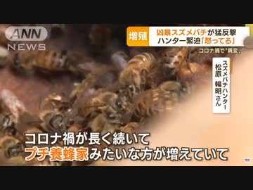 某ニュースで問題のBGMが!?