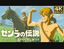 裸で駆ける！活きる！護る！”ゼンラの伝説” ＃ 3【ゼルダの伝説 ブレス オブ ザ ワイルド 】