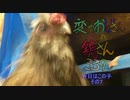 変なおじさんとこの　鶏さん３３９　今日はこの子　その７