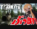 実写！？超リアルな戦場で銃ぶっ放したらヤバすぎたww【タルコフ】