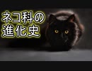 ネコ科の進化の歴史／5500万年前から現代まで【ゆっくり解説】