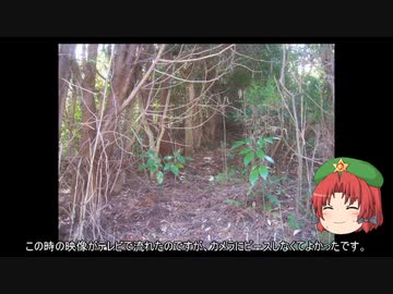 ゆっくり農民番外地　実録山であった怖い話