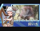 ヒメホウキムシの飼い方【アクアリウム】