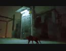 【再up】【実況】ビビりにゃんこの冒険　Stray part3