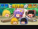 【ゆっくり茶番】遊ぶ青夢と魔理奈