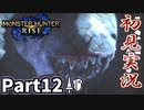 【MHRise】初見で楽しむ！MHRise実況プレイPart12【里★3顔のないバケモノ退治？】