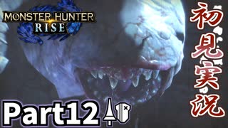 【MHRise】初見で楽しむ！MHRise実況プレイPart12【里★3顔のないバケモノ退治？】