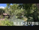 長野県安曇野市 その２ 「大王わさび農場」