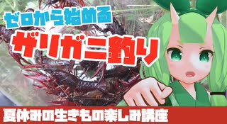 【夏休みにおすすめ！】ザリガニ釣りの準備、やり方とコツ！