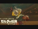 思うがままに旅をする【ゼルダの伝説 BotW】Part 20