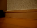 【VOICEROID解説】なんか廊下の隅らへん【東北きりたん】