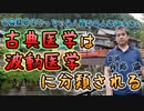古典医学が波動医学に分類されることをみんな知らない #内海聡 #うつみん 【世界一嫌われ医者】