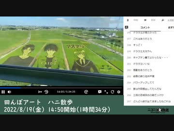 【始めの１時間のみ】ハニー大木「田んぼアート　ハニ散歩」　①（2022/8/19）