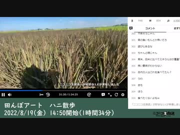 【始めの１時間のみ】ハニー大木「田んぼアート　ハニ散歩」　②（2022/8/19）